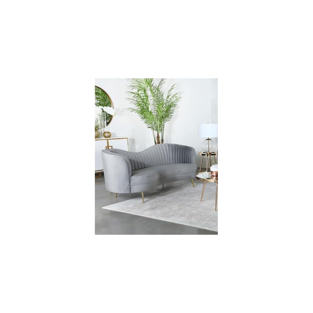 Coaster Sophia Living Room Velvet Contemporary Sofa, Grey 506864